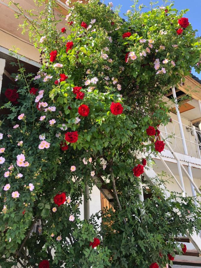 Гостевой Дом Айша Guest House Aisha Cholponata Buitenkant foto